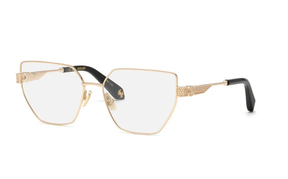 Roberto Cavalli VRC165M Eyeglasses - view 2